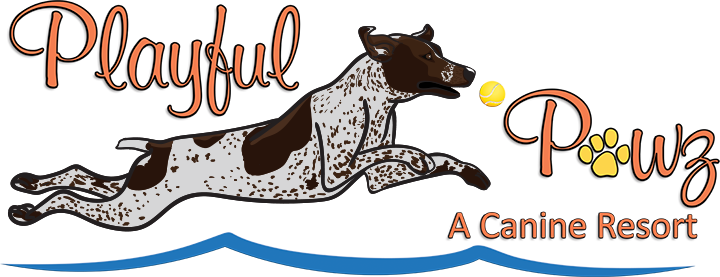 Playful Pawz Canine Resort